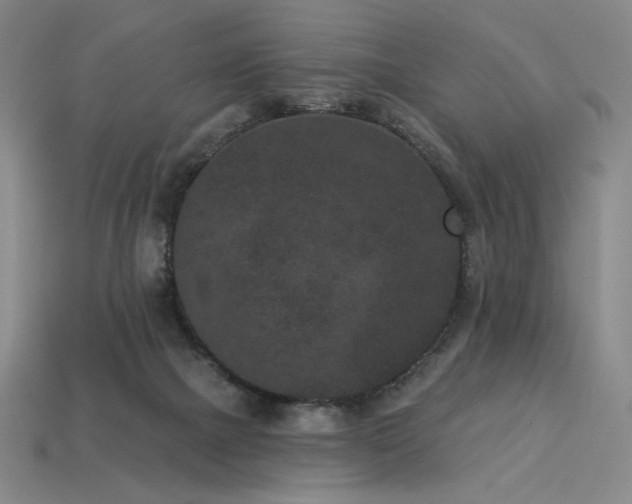 X0000113940073200909251249