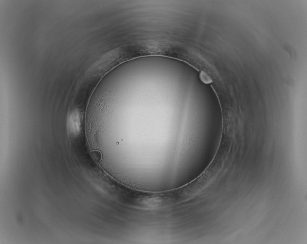 X0000113940075200909251249