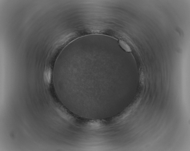 X0000113940076200909251249