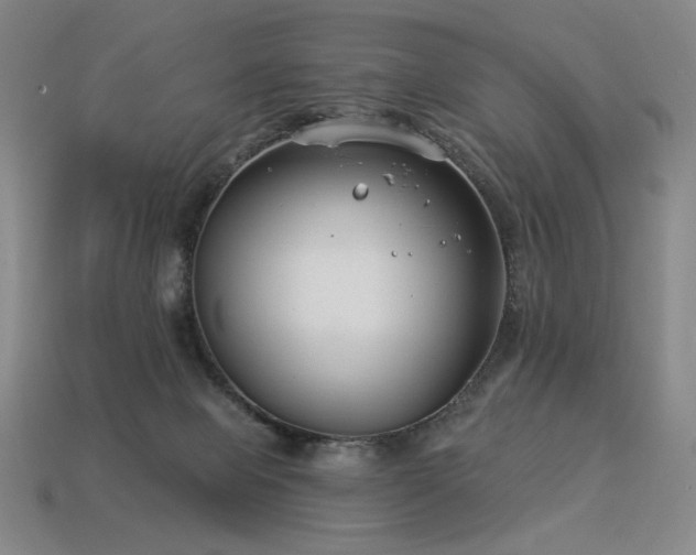 X0000113940077200909251249