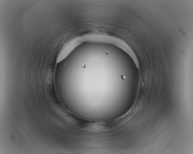 X0000113940078200909251249