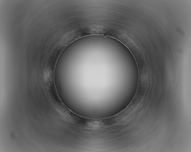 X0000113940079200909251249