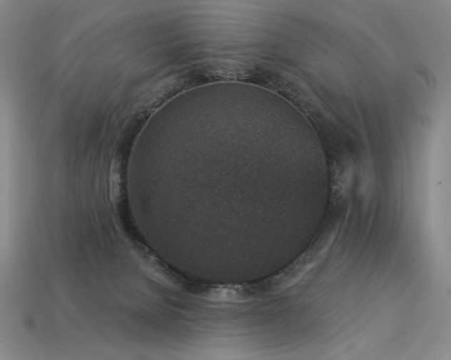 X0000113940080200909251249