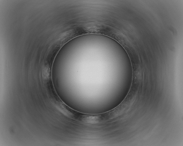 X0000113940081200909251249