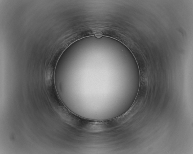 X0000113940082200909251249