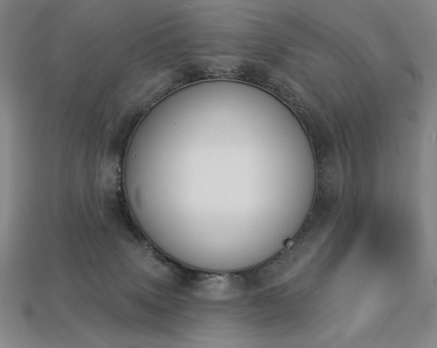 X0000113940083200909251249