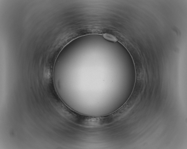 X0000113940084200909251249