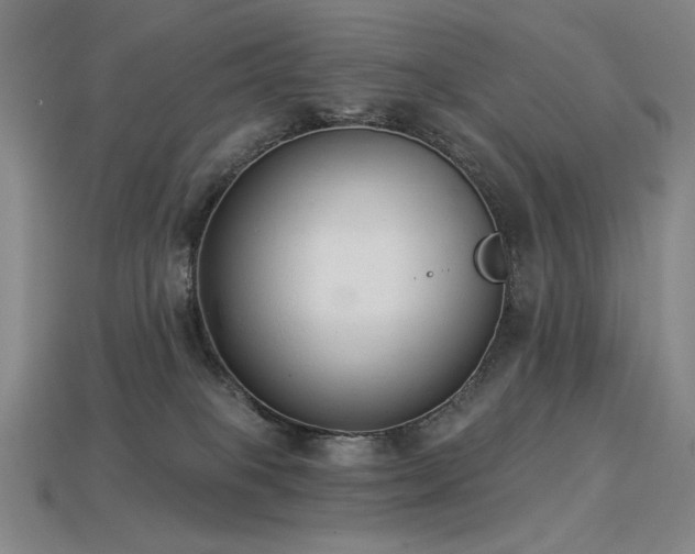 X0000113940085200909251249