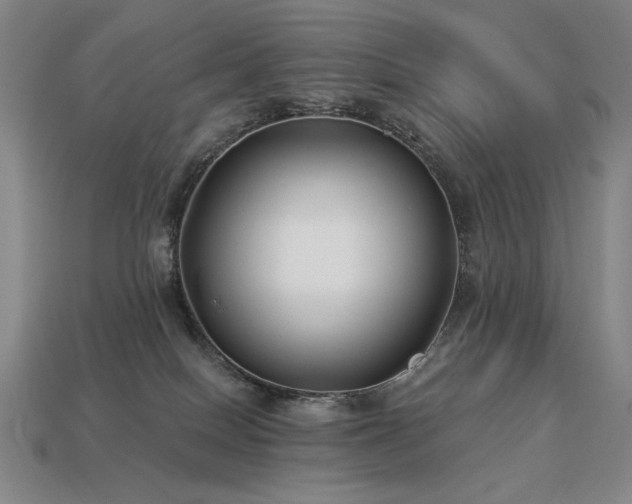 X0000113940086200909251249