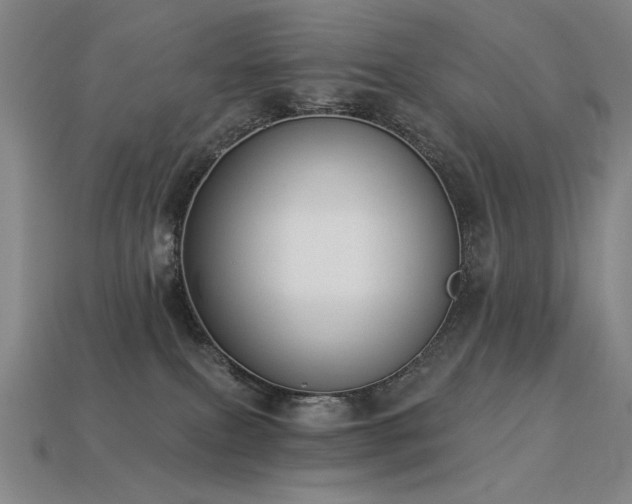 X0000113940087200909251249