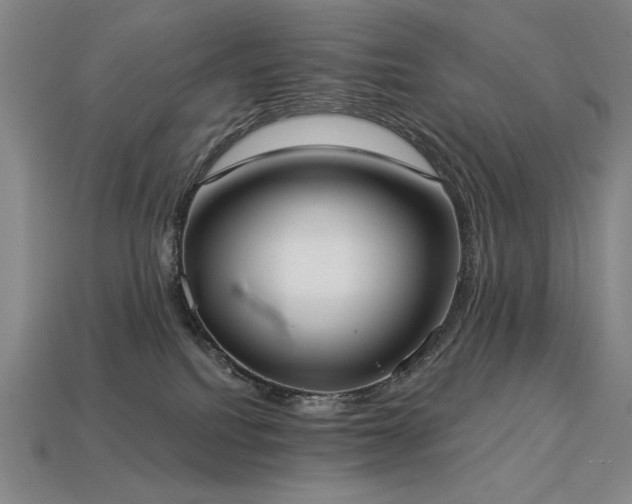 X0000113940088200909251249