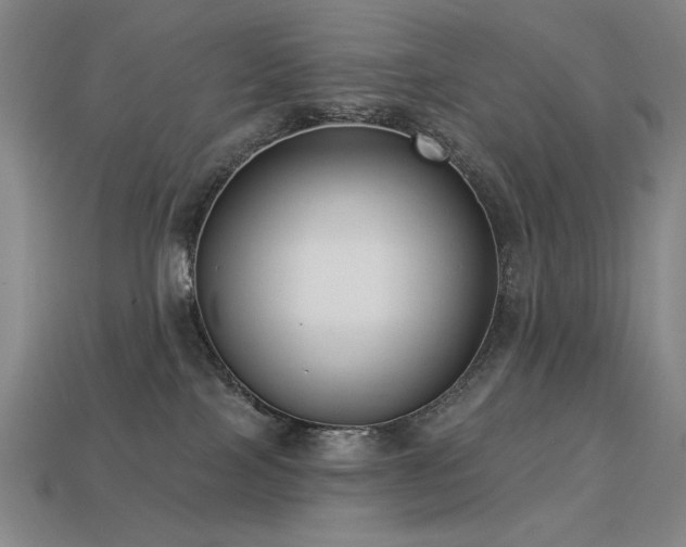 X0000113940089200909251249