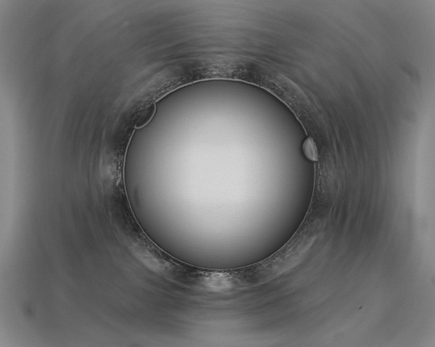 X0000113940091200909251249