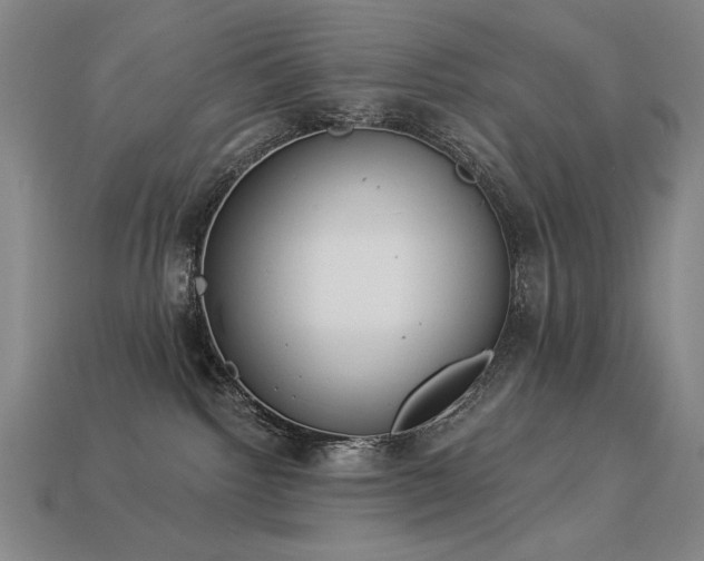 X0000113940092200909251249