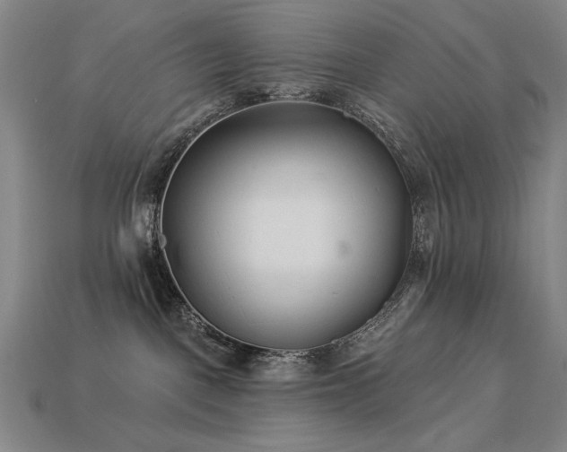 X0000113940093200909251249