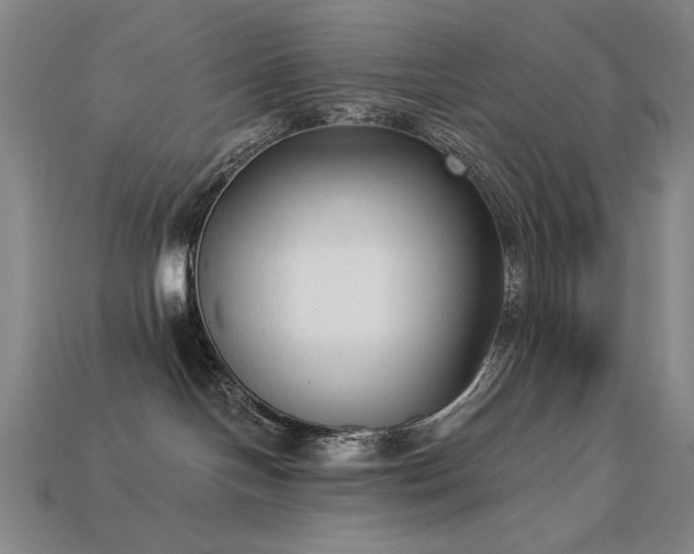 X0000113940094200909251249