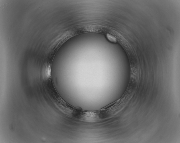 X0000113940095200909251249