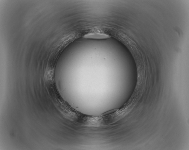 X0000113940096200909251249