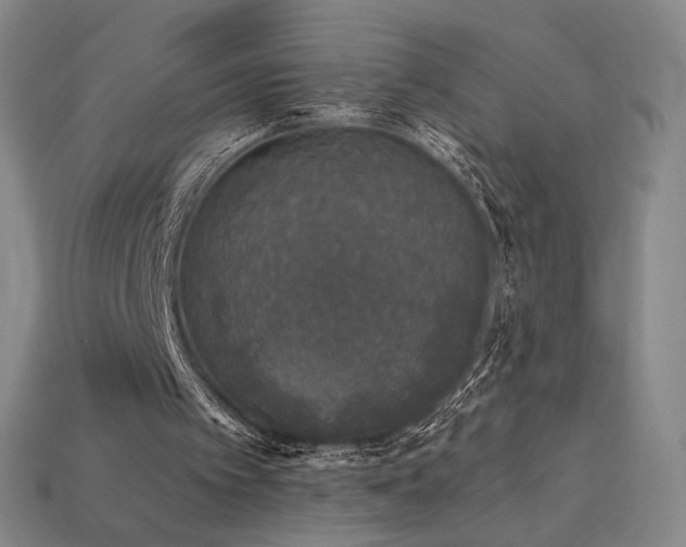 X0000113940097200909251249