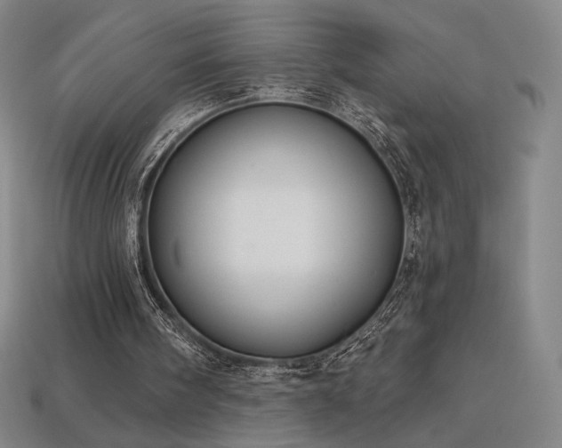 X0000113940098200909251249