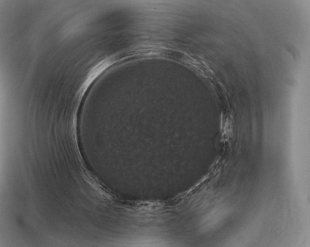 X0000113940099200909251249