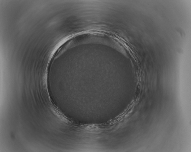 X0000113940100200909251249