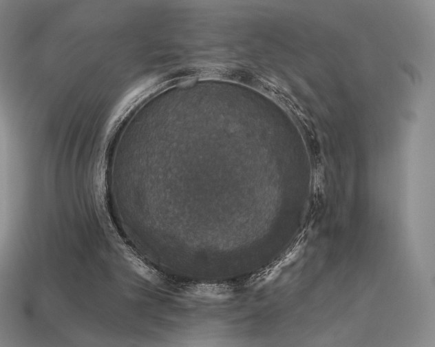 X0000113940101200909251249