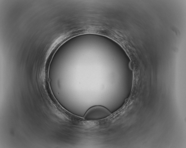 X0000113940102200909251249