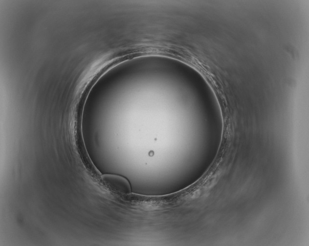 X0000113940103200909251249