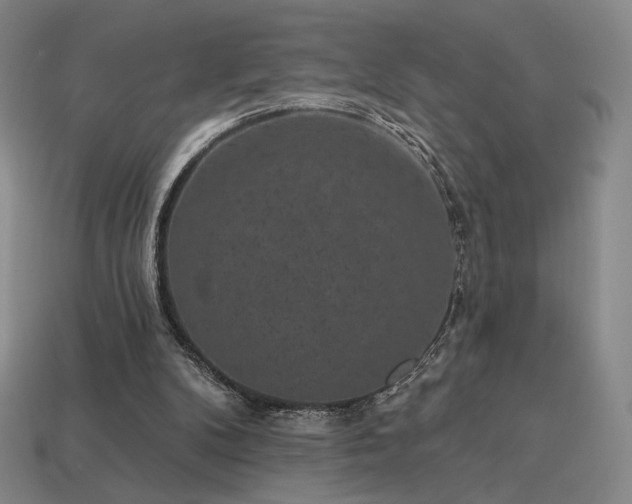 X0000113940104200909251249