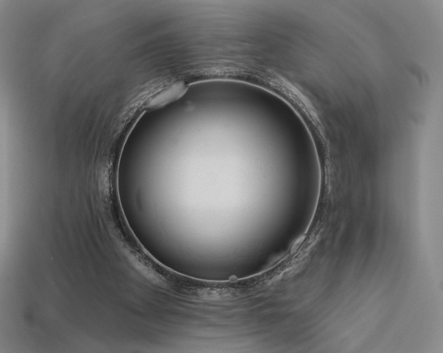 X0000113940105200909251249