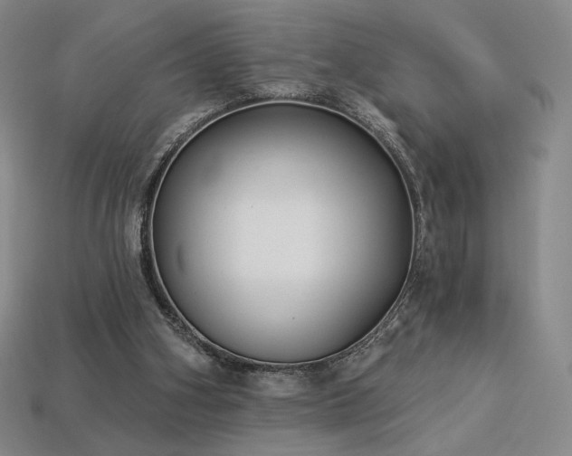 X0000113940106200909251249