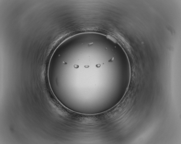 X0000113940107200909251248