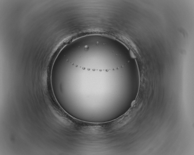 X0000113940108200909251248