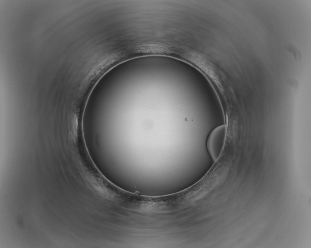 X0000113940109200909251248