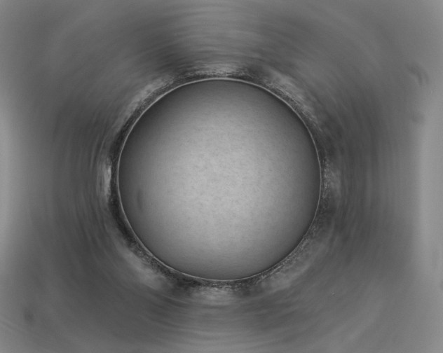 X0000113940110200909251248