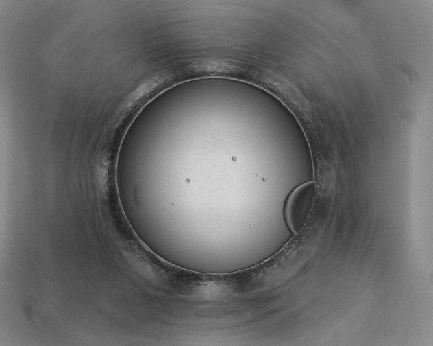 X0000113940111200909251248