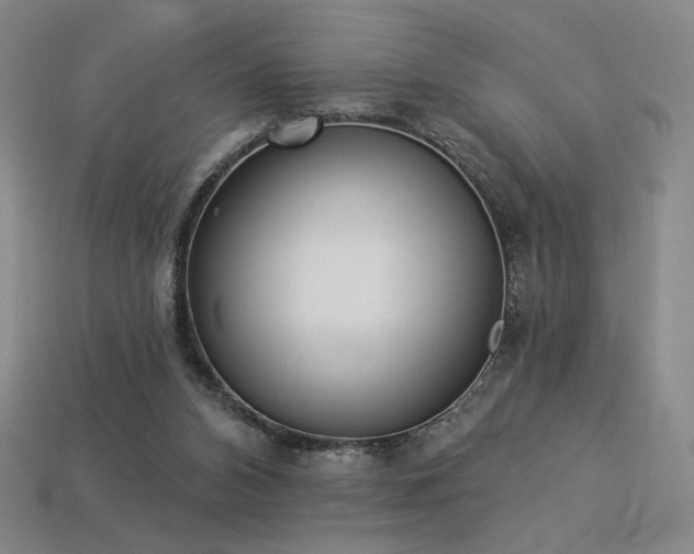 X0000113940112200909251248