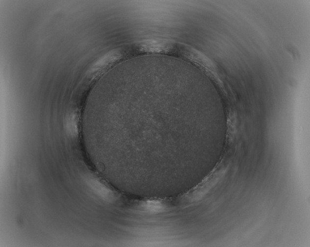 X0000113940114200909251248