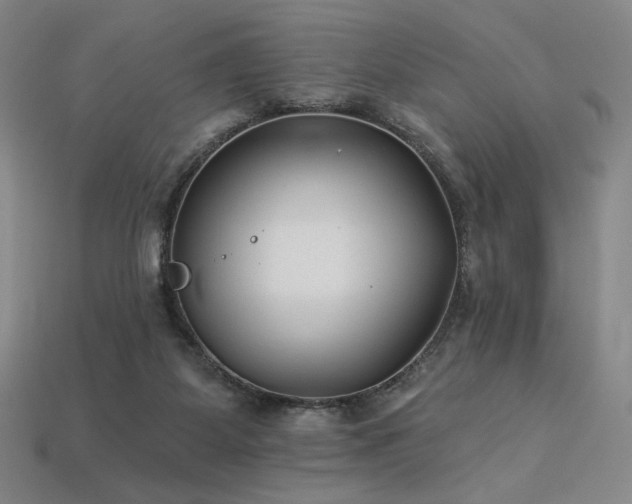 X0000113940115200909251248