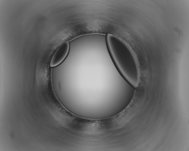 X0000113940116200909251248