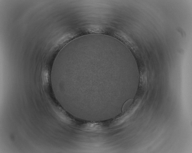 X0000113940117200909251248