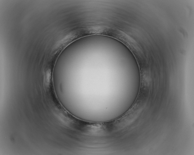 X0000113940118200909251248