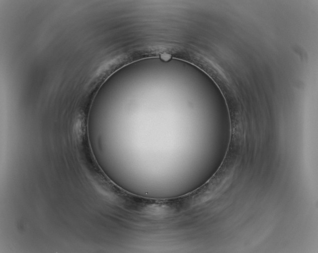 X0000113940119200909251248