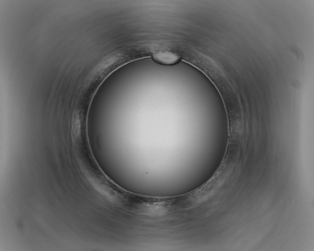 X0000113940120200909251248