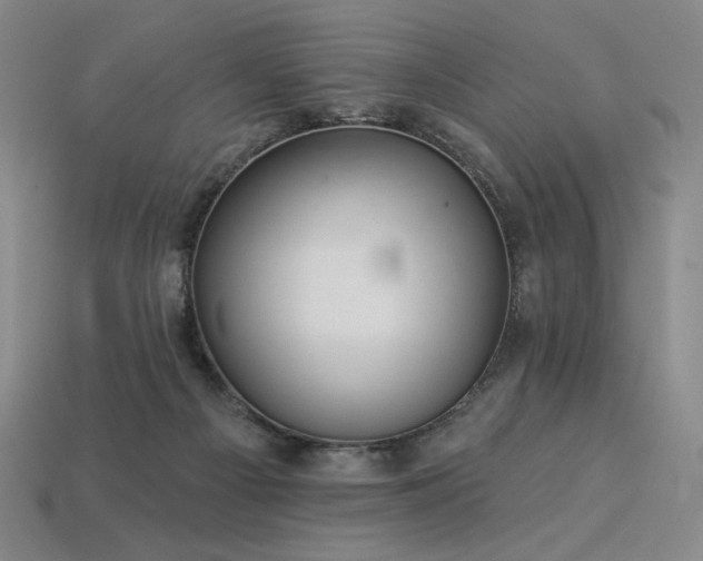 X0000113940121200909251248