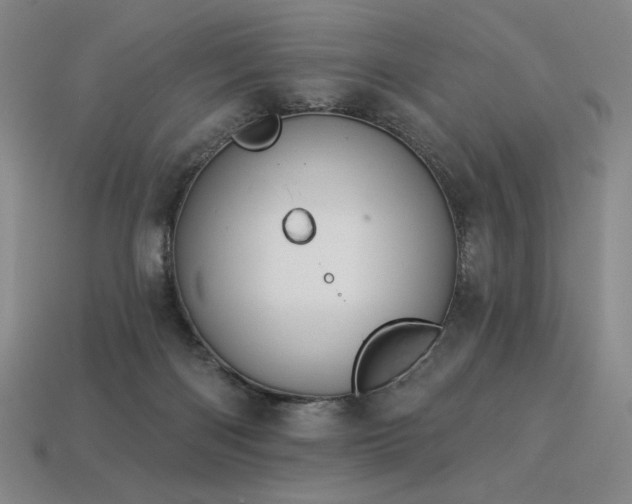 X0000113940122200909251248