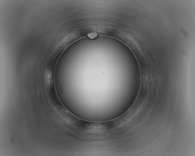 X0000113940123200909251248