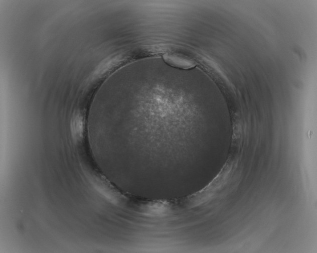 X0000113940124200909251248