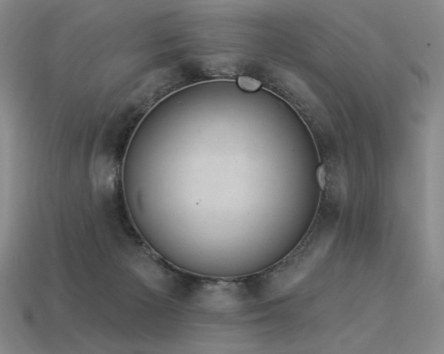 X0000113940125200909251248